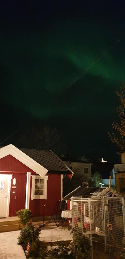 Nydelig Hytte I Kabelvag Lofoten Villa Exterior foto